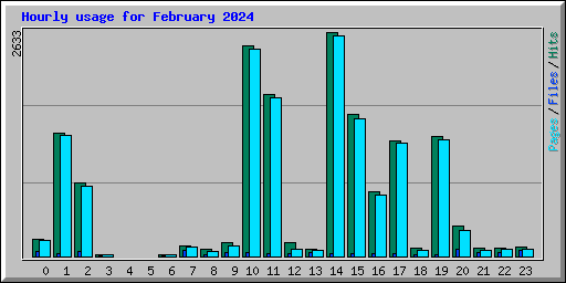 Hourly usage for February 2024